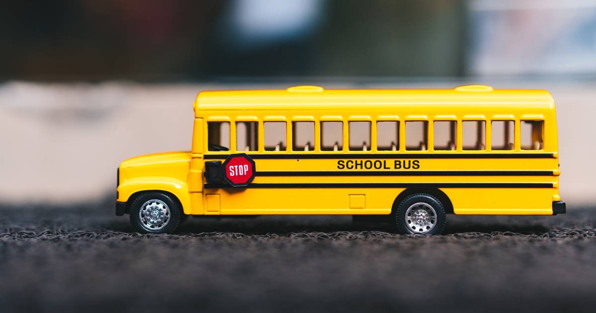 Miniaturas de Ônibus: Detalhes que Encantam