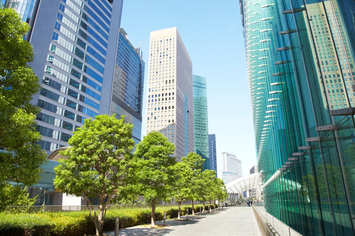 Urbanismo: o que é, para que serve e importância social
